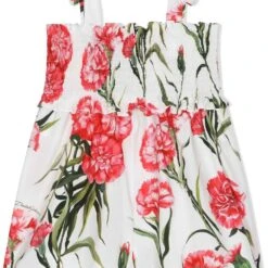 Stella shop -Stella shop 19176188 42751075 1000